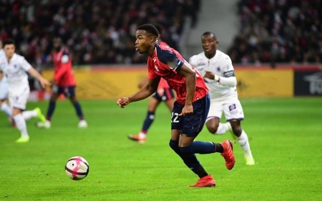 掀起了新一 掀起了新一